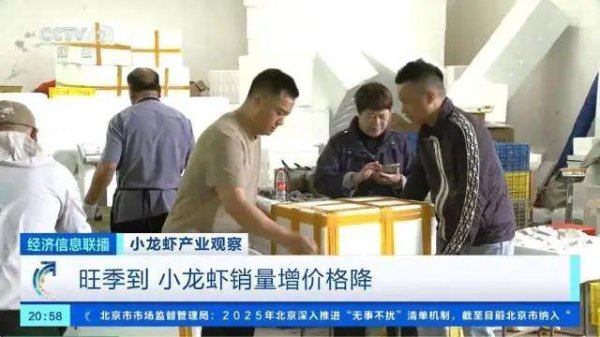 股票配资开户平台 价格大跳水，下跌50%！接下来还会降