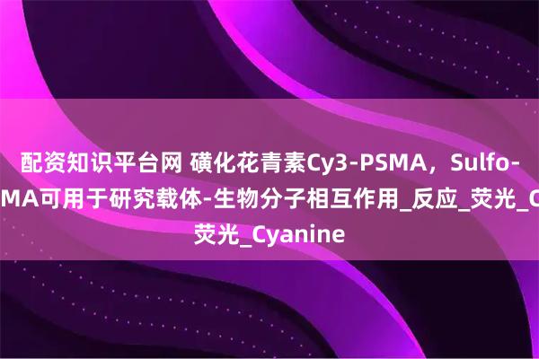 配资知识平台网 磺化花青素Cy3-PSMA，Sulfo-Cy3-PSMA可用于研究载体-生物分子相互作用_反应_荧光_Cyanine